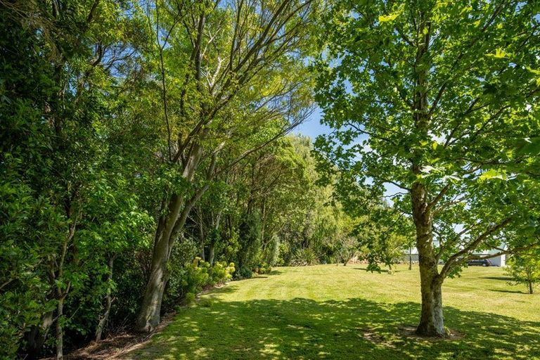 Photo of property in 43 Holdaway Street, Riversdale, Blenheim, 7201