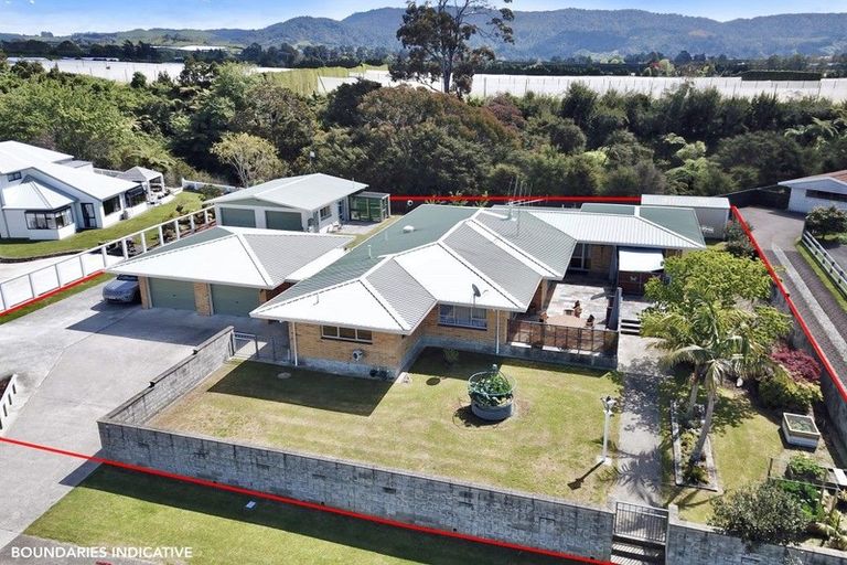 Photo of property in 31 Tynan Street, Te Puke, 3119
