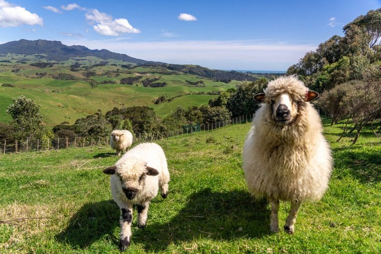 Photo of property in 176 Maungatawhiri Road, Raglan, 3295