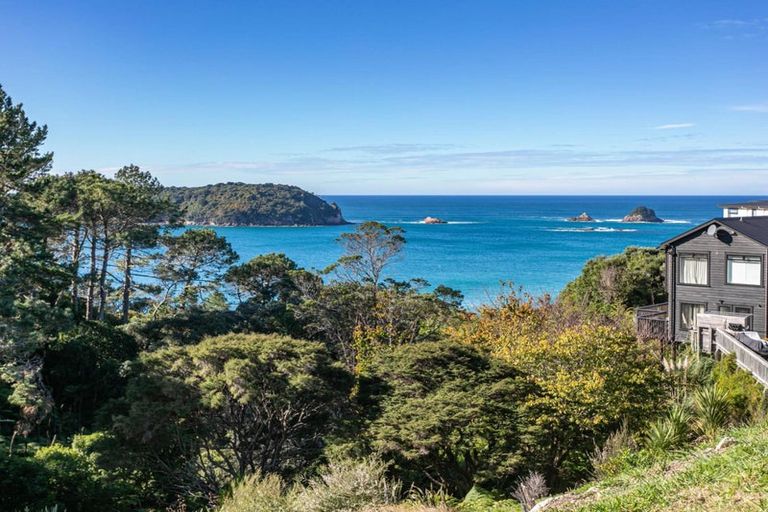 Photo of property in 96 Grange Road, Hahei, Whitianga, 3591