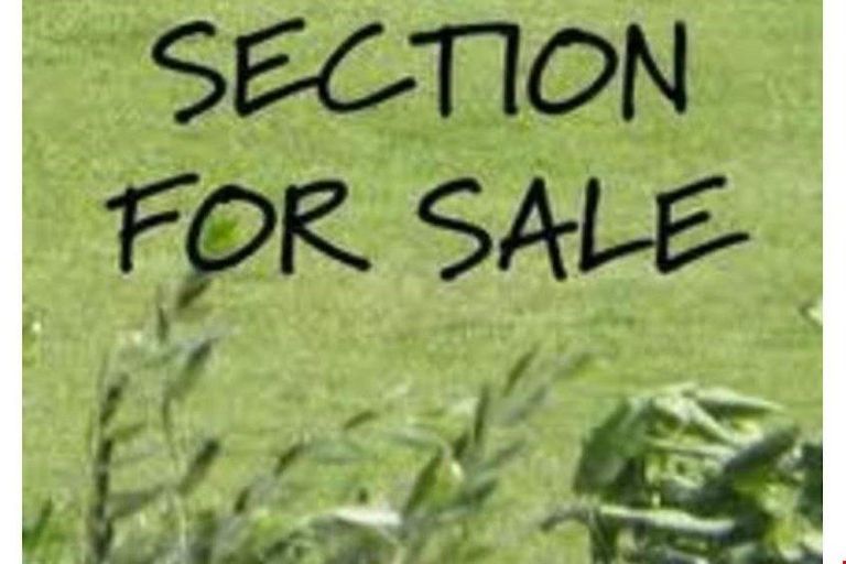 Photo of property in 9 Waitai Close, Long Bay, 0630