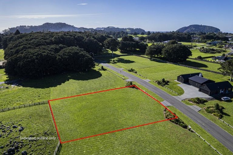 Photo of property in 38 Stoney Hill Road, Te Kamo, 0185