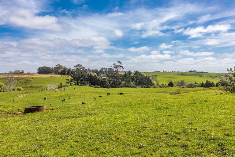 Photo of property in 231 Hart Road, Pukekohe, 2676