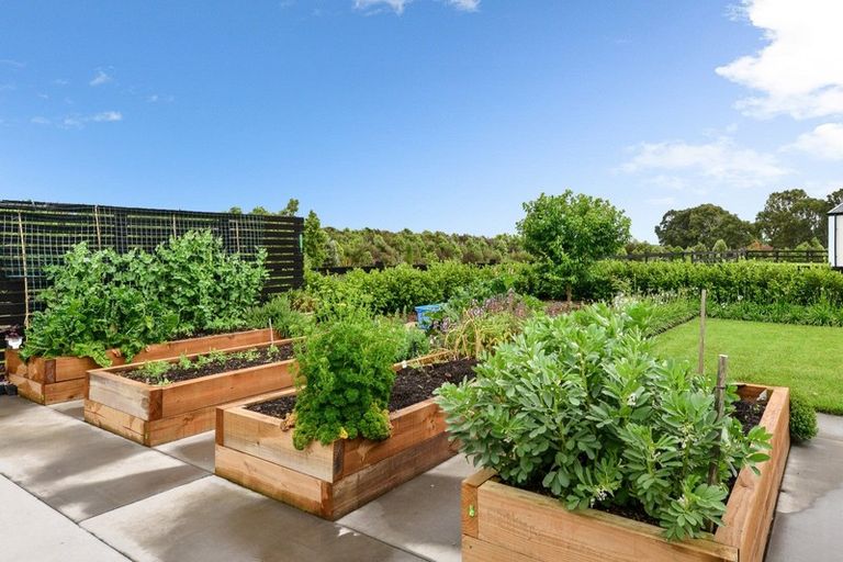 Photo of property in 33 Mike Smith Drive, Cambridge, 3434