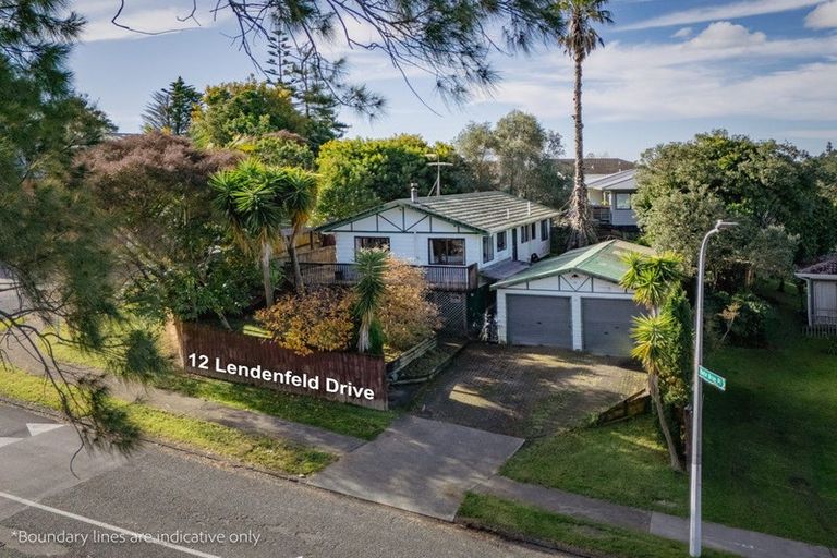 Photo of property in 12 Lendenfeld Drive, Papatoetoe, Auckland, 2025