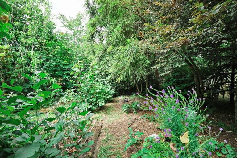 Photo of property in 17 Ariki Avenue, Otatara, Invercargill, 9879