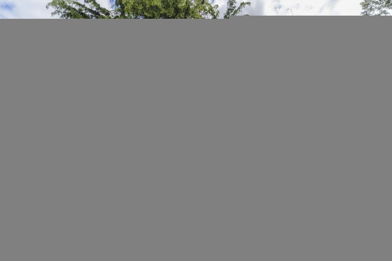 Photo of property in 12 Tawa Street, Palmerston North, 4414
