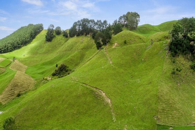 Photo of property in 1765 Tutukau Road, Ohakuri, Reporoa, 3083