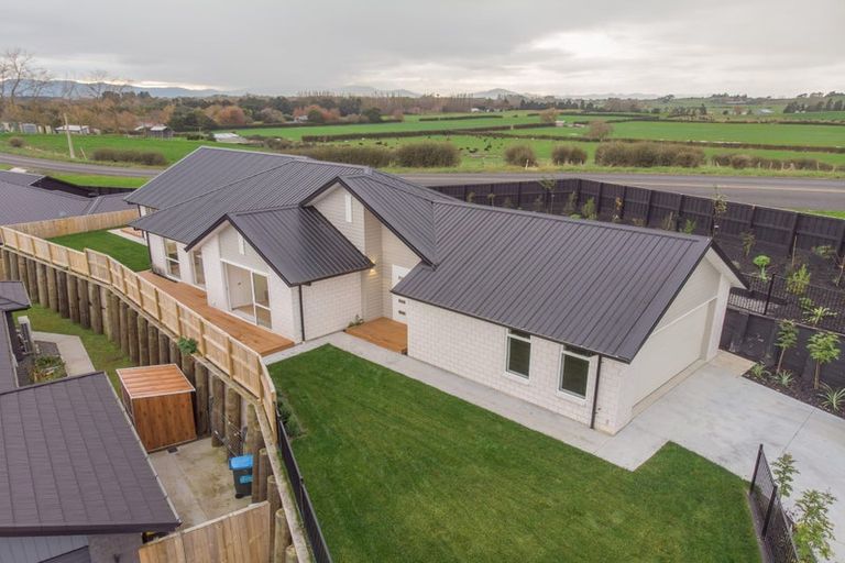 Photo of property in 7 Gallants Place, Flagstaff, Hamilton, 3210