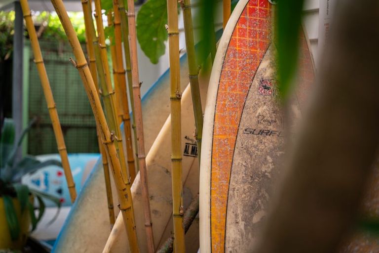 Photo of property in 121 Wellington Road, Paekakariki, 5034