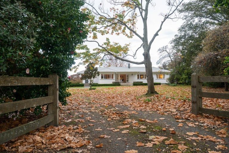 Photo of property in 80 Ormond Road, Twyford, Hastings, 4175