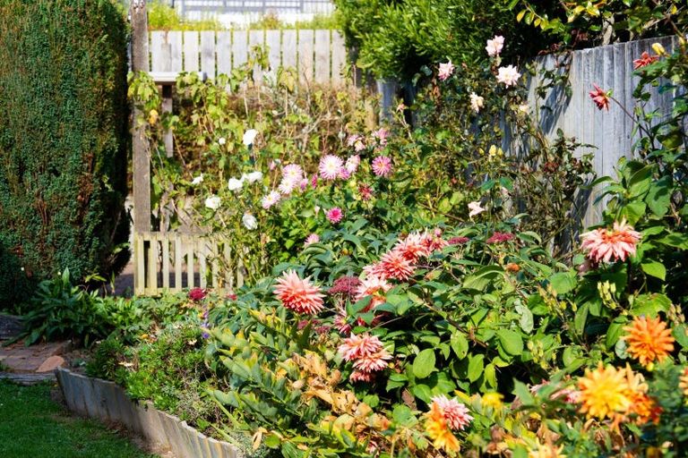 Photo of property in 216 Larnach Road, Waverley, Dunedin, 9013