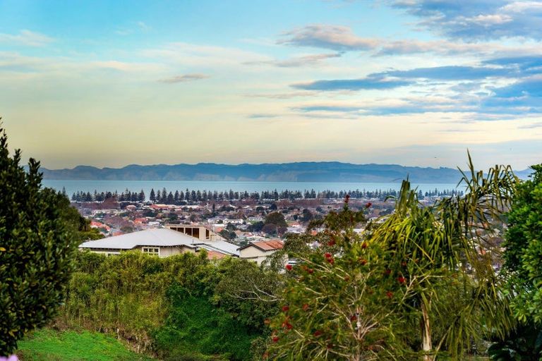 Photo of property in 42 Simla Terrace, Hospital Hill, Napier, 4110