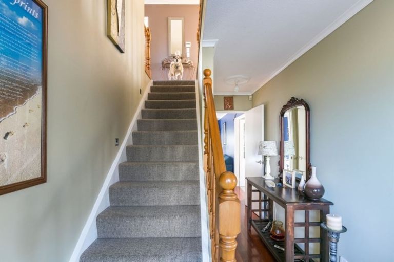 Photo of property in 101 Cortina Avenue, Johnsonville, Wellington, 6037