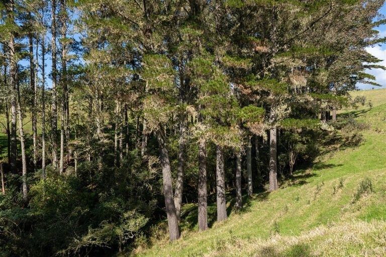 Photo of property in 42 Tirohanga Road, Kawakawa, 0282