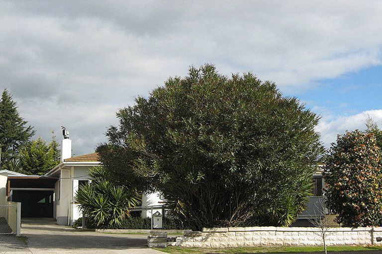 Photo of property in 3 Ruataniwha Street, Waipukurau, 4200