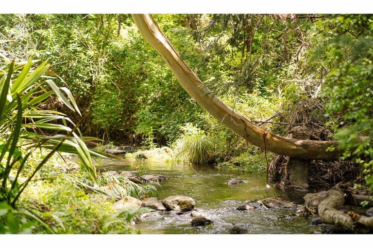 Photo of property in 14 Campbell Lane, Kerikeri, 0230