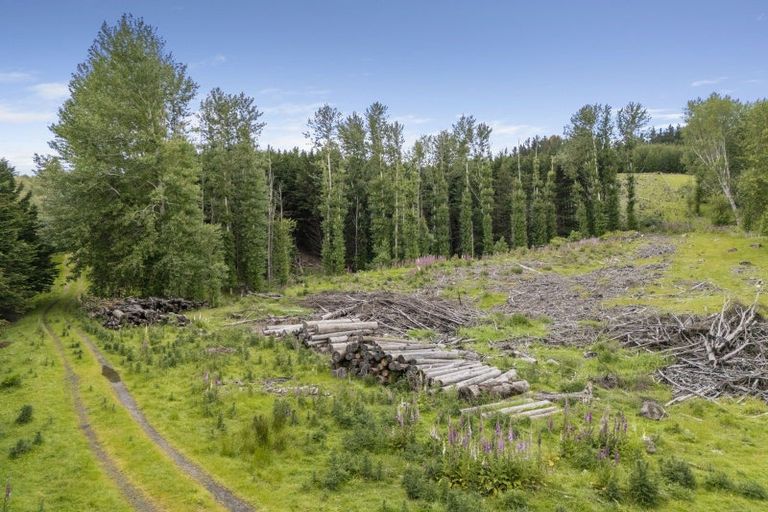 Photo of property in 238 Gladstone Road North, Mosgiel, 9024