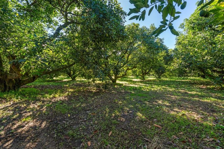 Photo of property in 204a No 2 Road, Te Puke, 3182