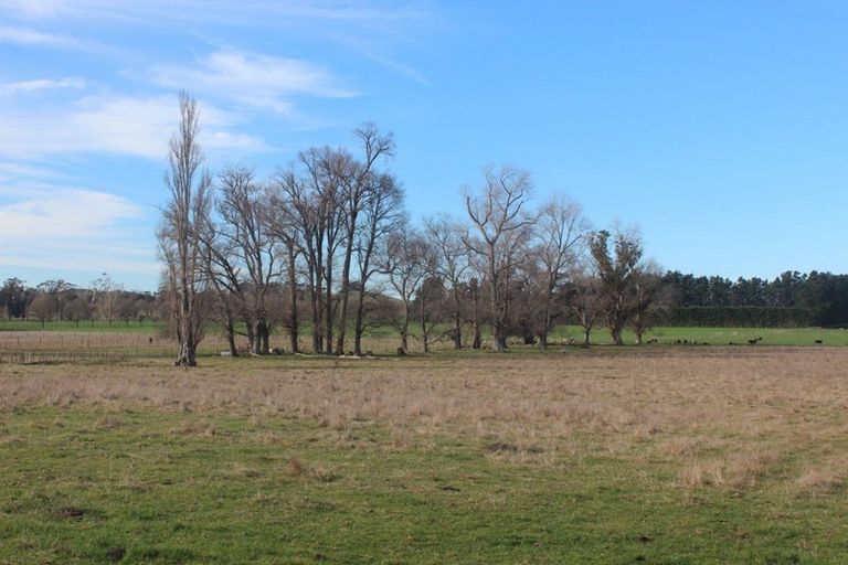 Photo of property in 13 Farm Road, Waipukurau, 4284