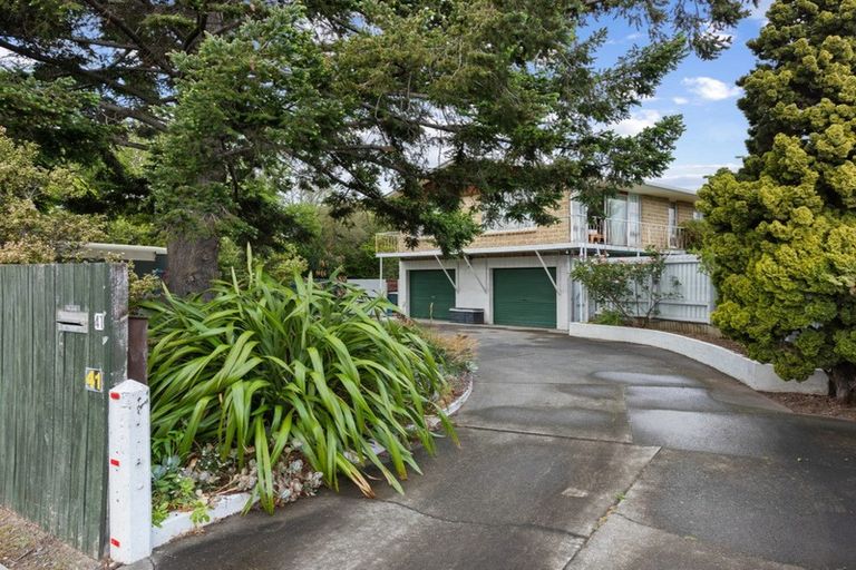 Photo of property in 41 Dillon Street, Blenheim, 7201
