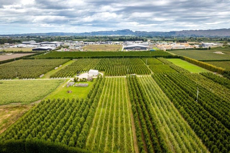 Photo of property in 5 Feltwell Place, Mangere Bridge, Auckland, 2022