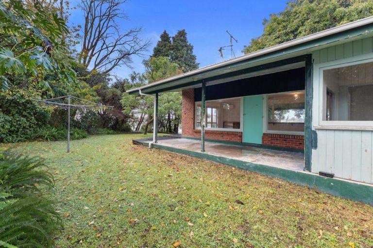 Photo of property in 44 Collingwood Street, Judea, Tauranga, 3110