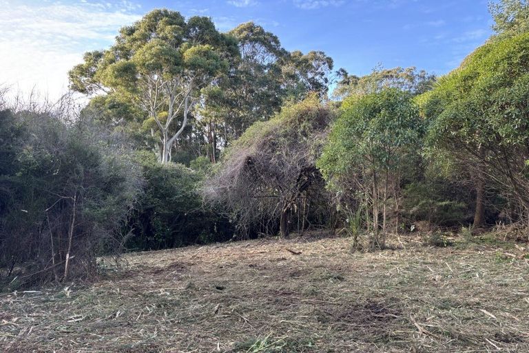 Photo of property in 40 Saddleview Place, Fairfield, Dunedin, 9076