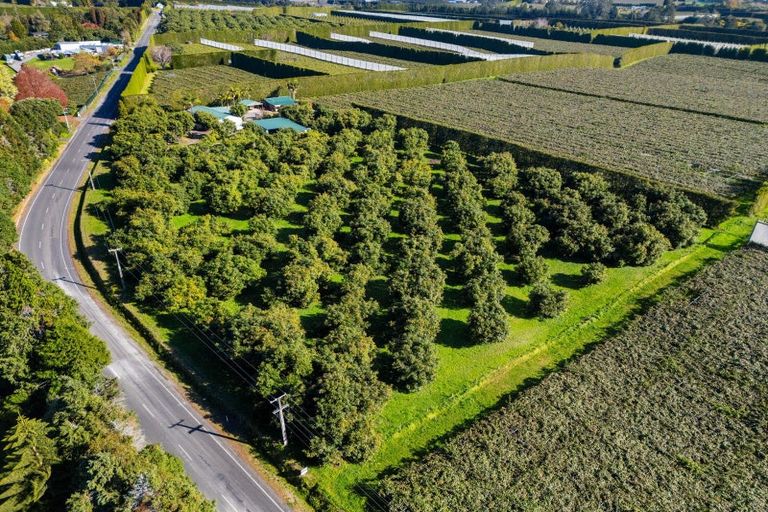 Photo of property in 204a No 2 Road, Te Puke, 3182