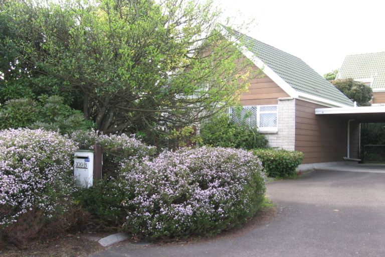 Photo of property in 109b Maungatapu Road, Maungatapu, Tauranga, 3112
