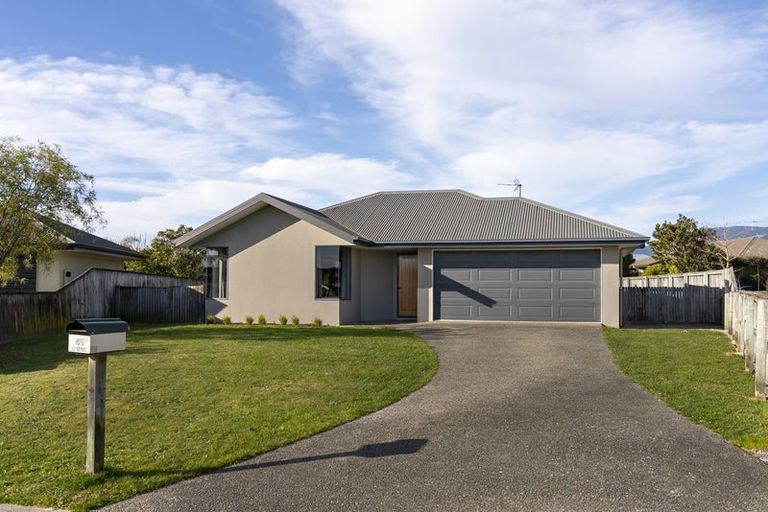 Photo of property in 45 Otia Drive, Richmond, 7020