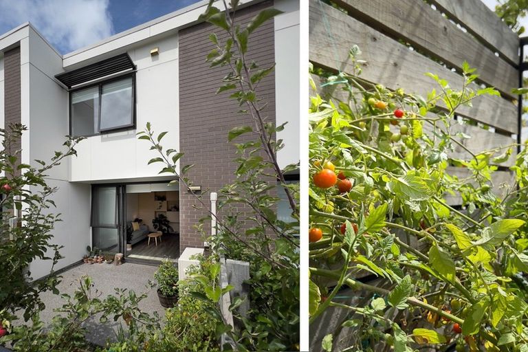 Photo of property in 24/10 Rex Street, Riccarton, Christchurch, 8041