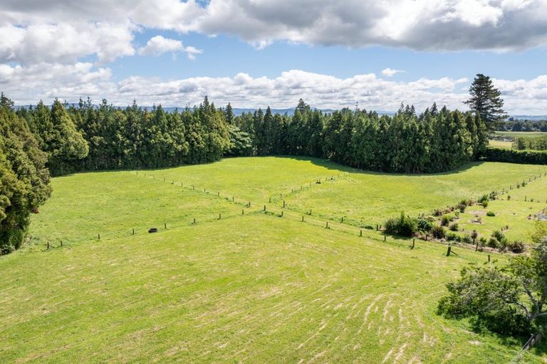 Photo of property in 1280 Omanawa Road, Omanawa, Tauranga, 3171