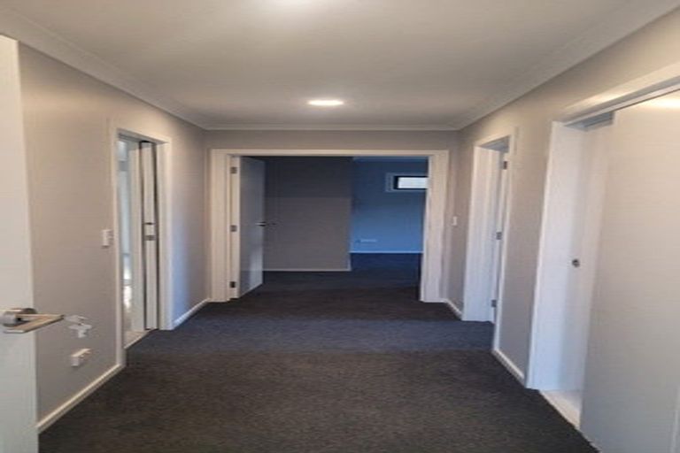Photo of property in 30a Alison Street, Hamilton Lake, Hamilton, 3204