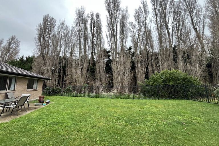 Photo of property in 41 Tongariro Street, Halswell, Christchurch, 8025