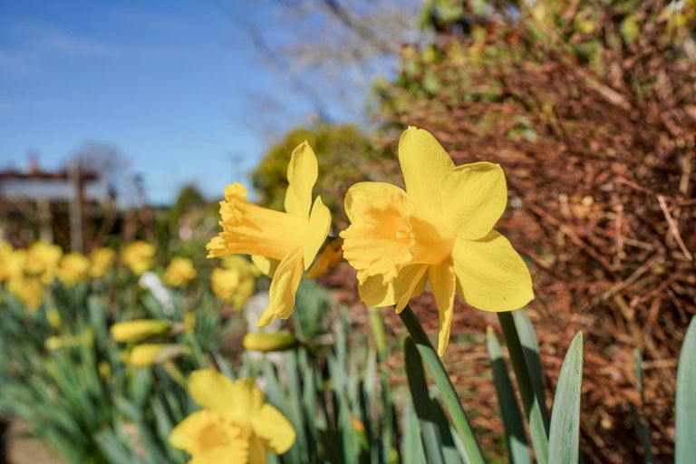 Photo of property in 16 Katrine Street, Otautau, 9610