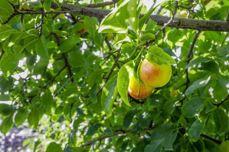 Photo of property in 39 Gray Avenue, Paraparaumu Beach, Paraparaumu, 5032