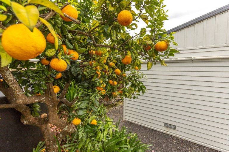 Photo of property in 5 Bush Street, Paeroa, 3600
