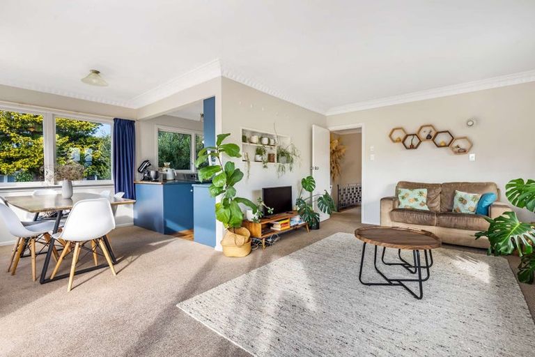 Photo of property in 8 The Drive, Brookfield, Tauranga, 3110