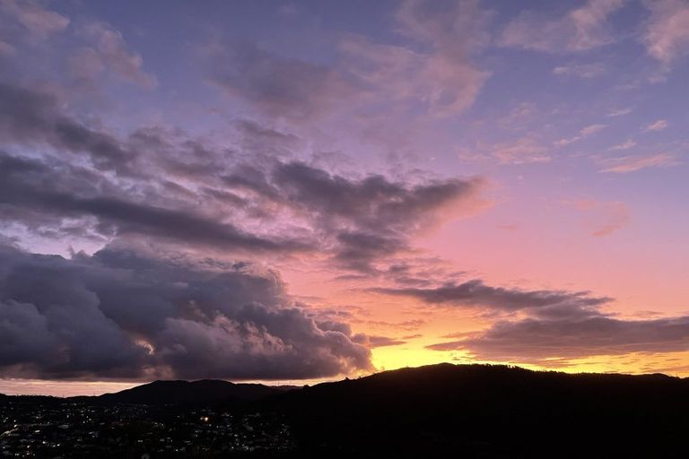 Photo of property in 33 Bedford Street, Northland, Wellington, 6012