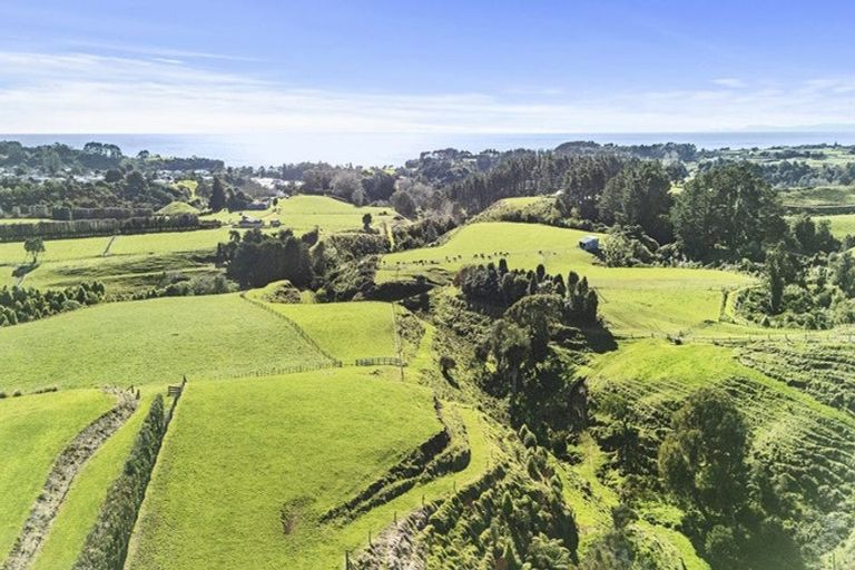 Photo of property in 29 Wilson Road, Urenui, 4375