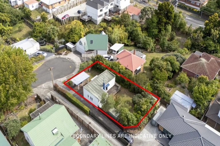 Photo of property in 17 Pine Street, New Lynn, Auckland, 0600
