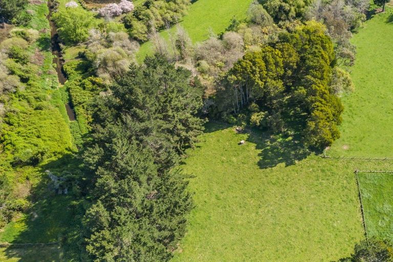 Photo of property in 82 Jacksons Road, Koputaroa, Shannon, 5575