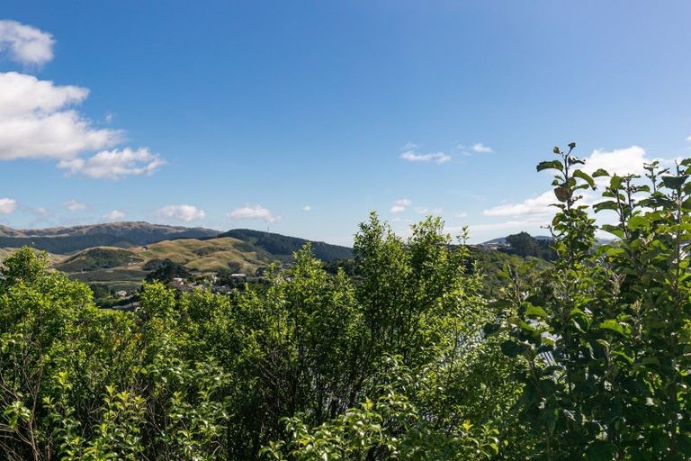 Photo of property in 20 Jane Grove, Paparangi, Wellington, 6037