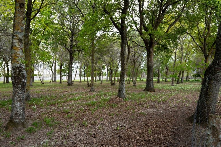 Photo of property in 8 Ingram Road, Waerengaahika, Gisborne, 4071