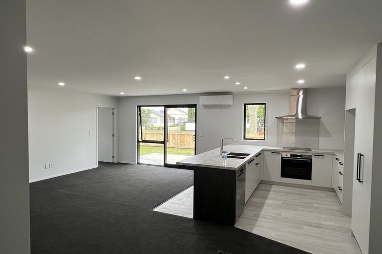 Photo of property in 1/2 Armitage Place, Fairfield, Hamilton, 3214