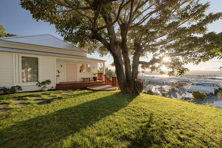 Photo of property in 5 Denholm Road, Hospital Hill, Napier, 4110