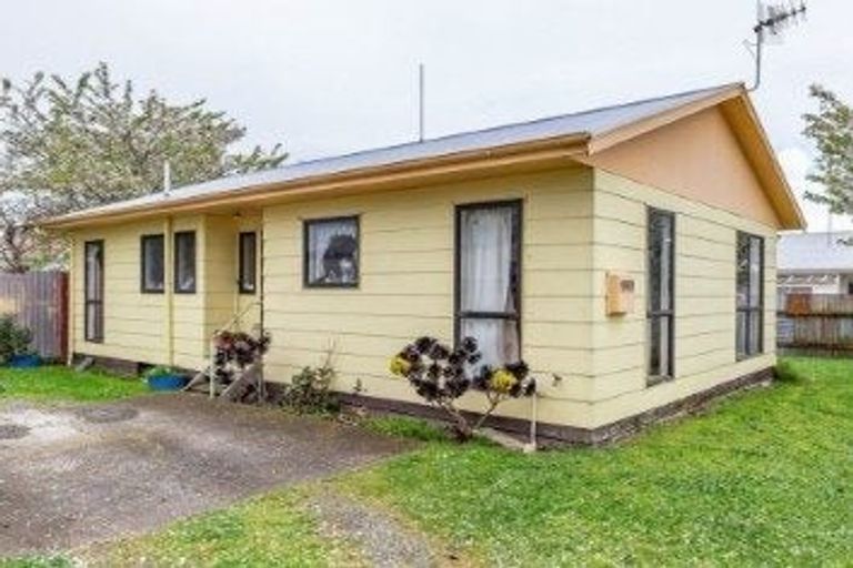 Photo of property in 10a Braemar Street, Levin, 5510