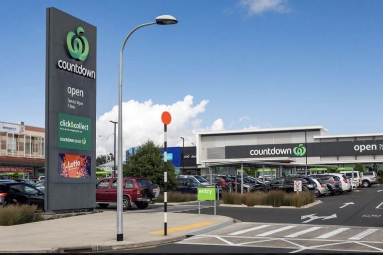 Photo of property in 22 Pukeko Road, Hobsonville, 0616