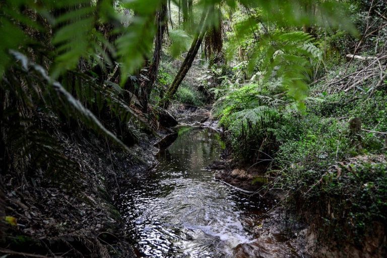 Photo of property in 63 Sunnyhills Avenue, Glenview, Hamilton, 3206